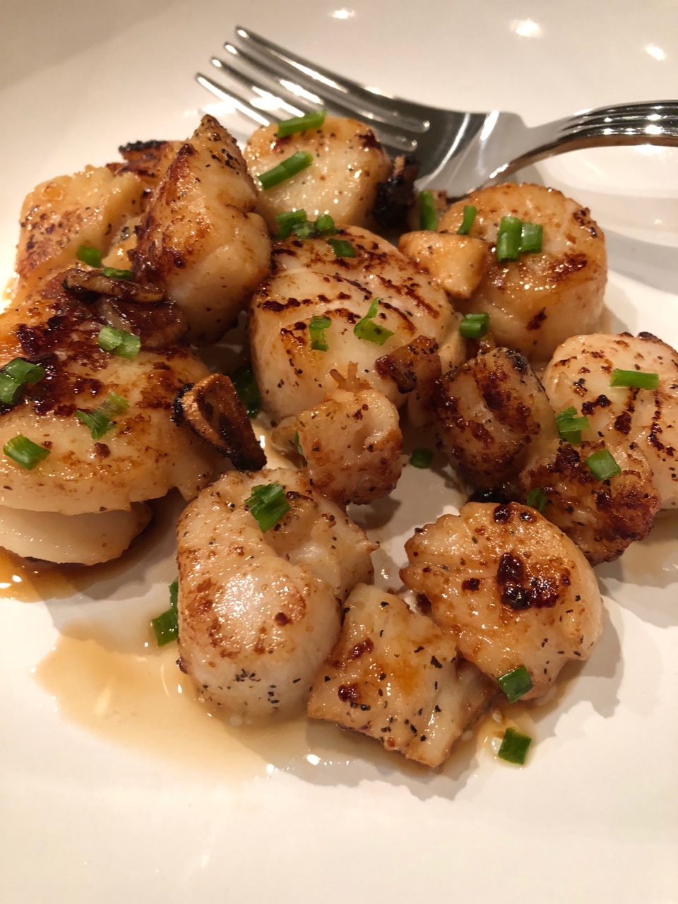 seared scallops.jpeg